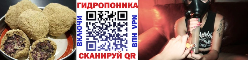 купить наркотик  Ачхой-Мартан  Печенье с ТГК марихуана 