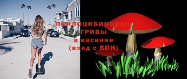 амф Богородск
