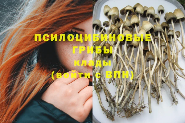 герыч Богданович