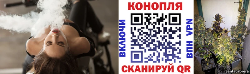 закладки  Ачхой-Мартан  Бошки Шишки ГИДРОПОН 